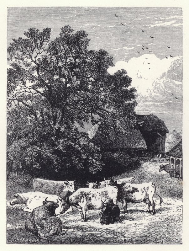 Melking av kuene (gravering) av Harrison William Weir
