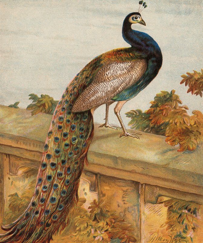  av Harrison William Weir