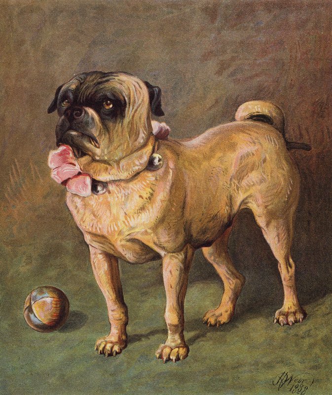  av Harrison William Weir