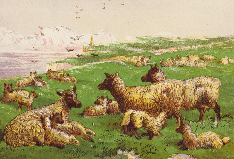  av Harrison William Weir