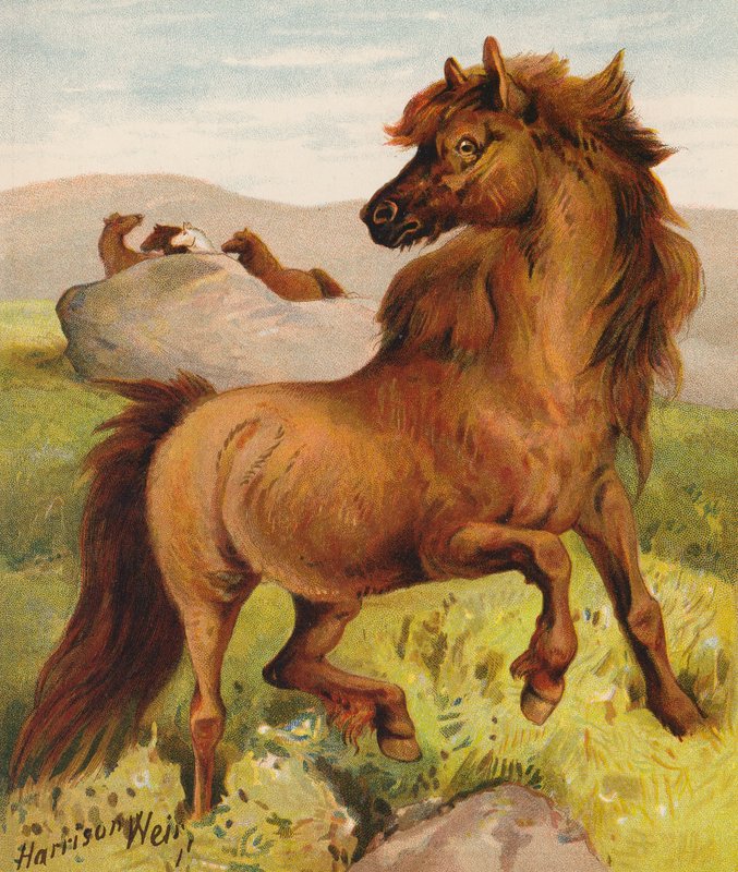  av Harrison William Weir