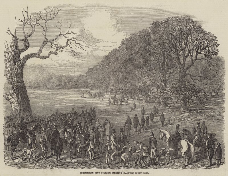 Spelthorne Club Coursing Meeting, Hampton Court Park av Harrison William Weir