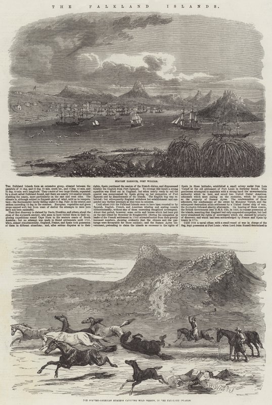Falklandsøyene av Harrison William Weir