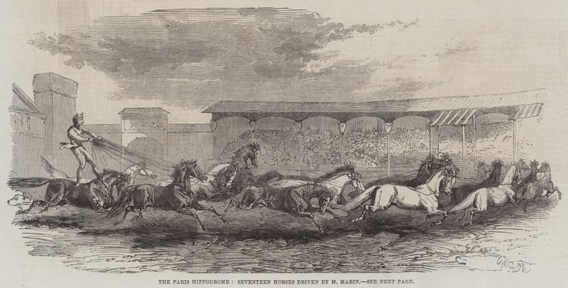 Paris Hippodrome, Seventeen Horses drevet av M Martin av Harrison William Weir