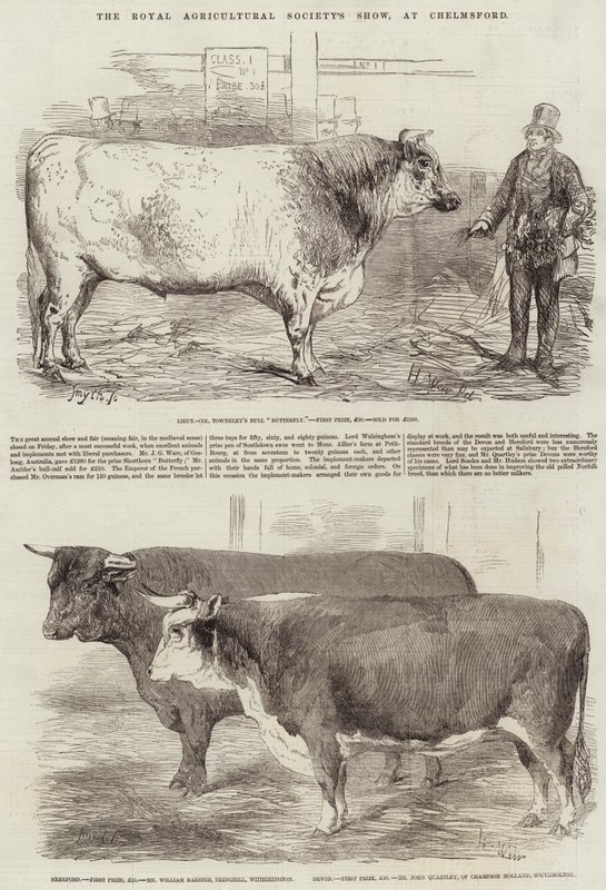 Royal Agricultural Society's Show, på Chelmsford av Harrison William Weir