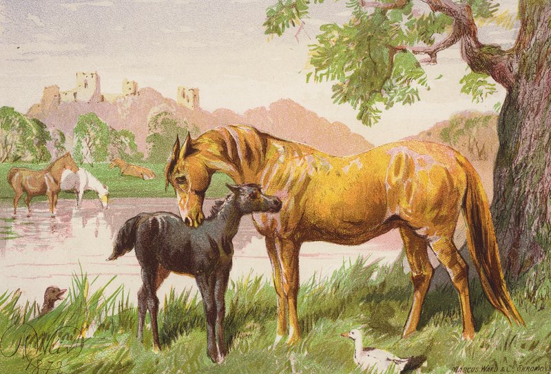  av Harrison William Weir