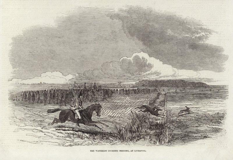 The Waterloo Coursing Meeting av Harrison William Weir