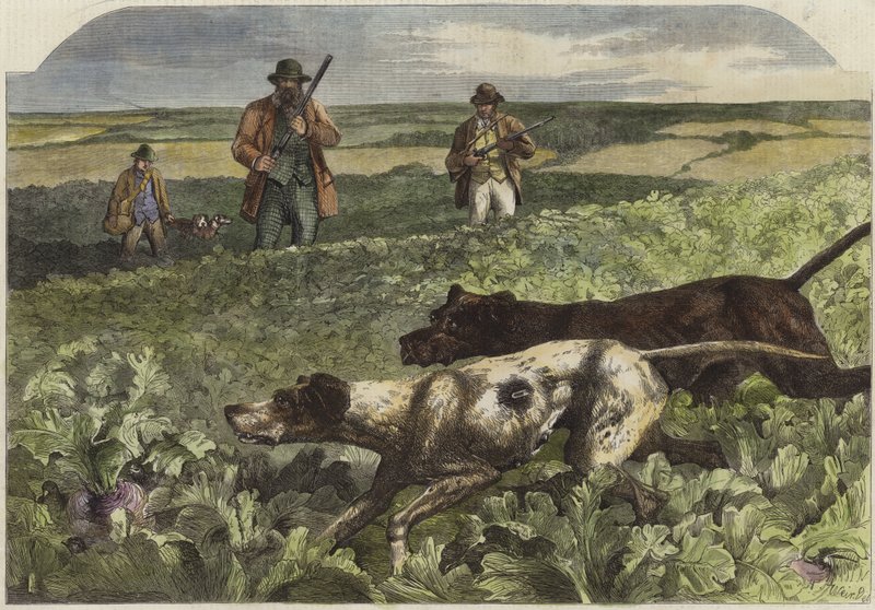 Den første september av Harrison William Weir