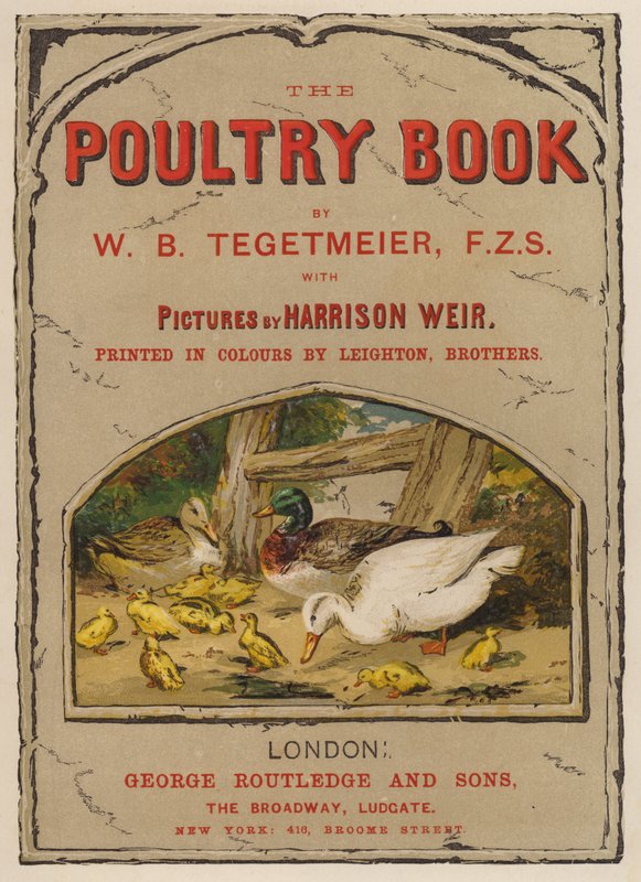 Tittelsideillustrasjon for The Poultry Book av W B Tegetmeier (chromolitho) av Harrison William Weir