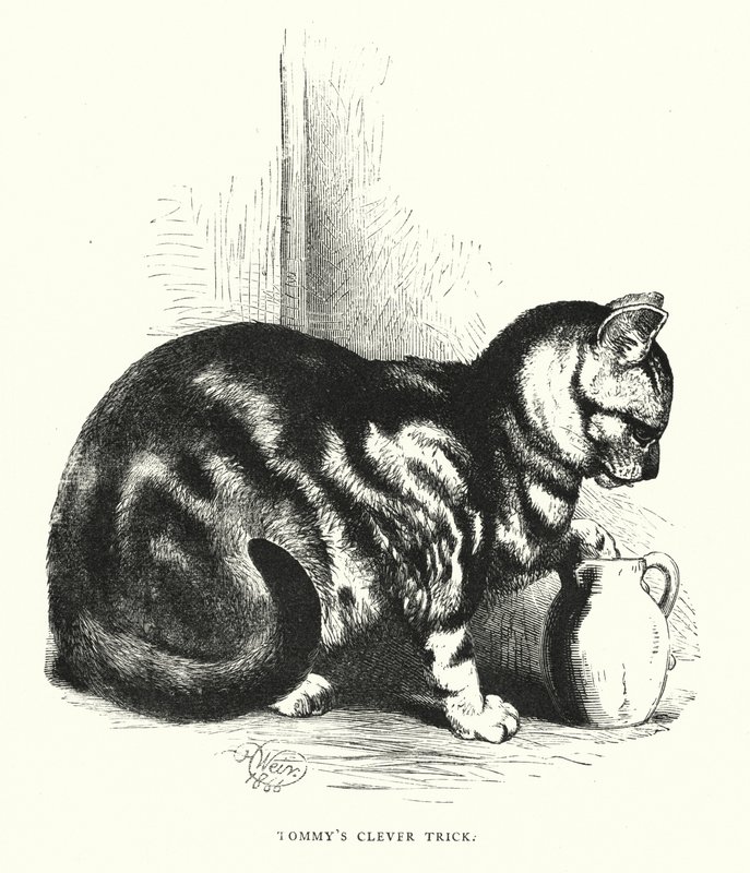 Tommys smarte triks (gravering) av Harrison William Weir