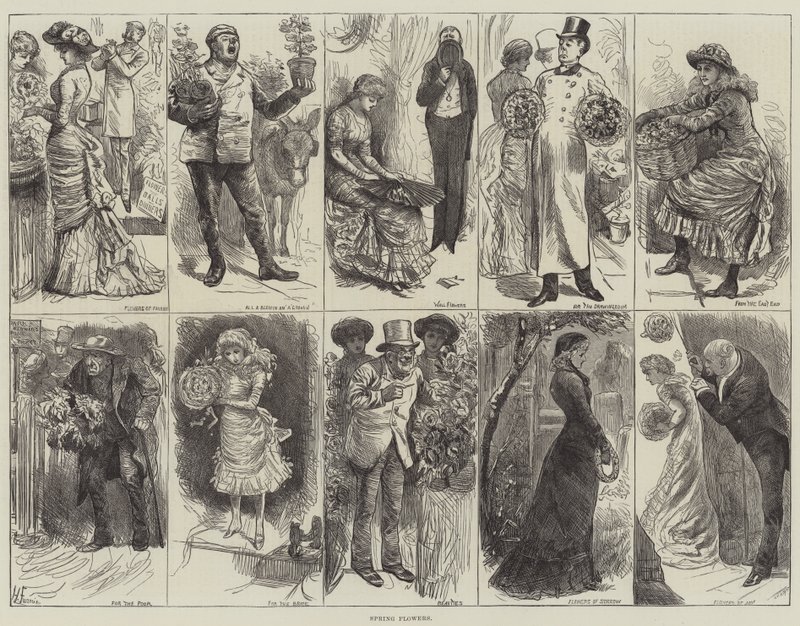 Vårblomster av Harry Furniss