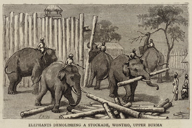 Elefanter som river en Stockade, Wontho, Øvre Burma av Harry Hamilton Johnston