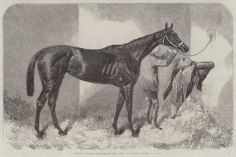 Brown hertuginne, vinner av Oaks av Harry Hall