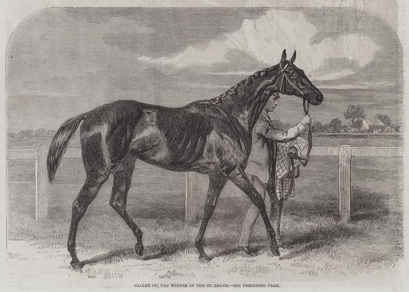 Ringer Ou, vinneren av St Leger av Harry Hall