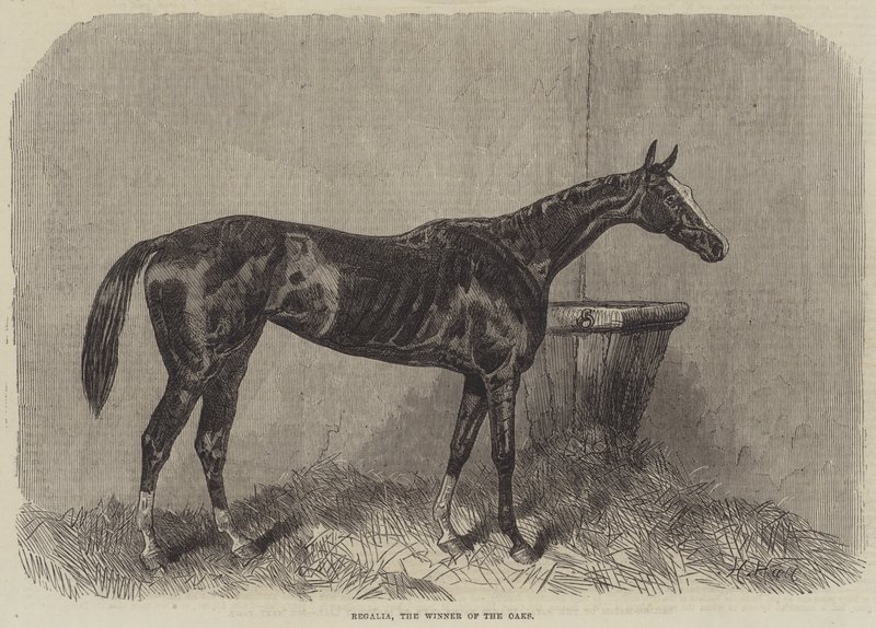 Regalia, vinneren av Oaks av Harry Hall