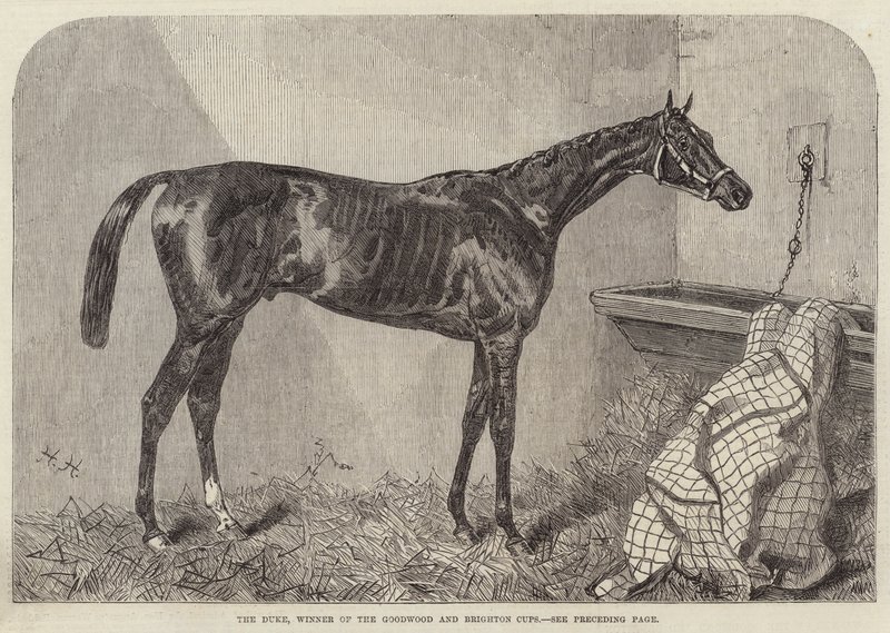 The Duke, vinner av Goodwood- og Brighton-cupene av Harry Hall