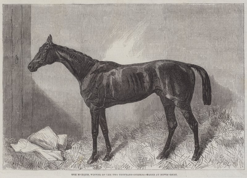 The Marquis, vinner av Two Thousand Guineas Stakes på Newmarket av Harry Hall