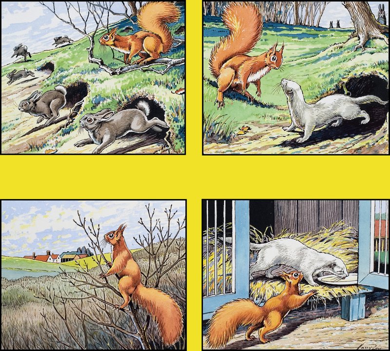 Lille røde ekorn av Harry M. Pettit