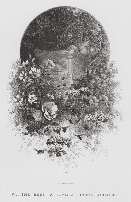 Insektet: Biene, en grav ved Pere-Lachaise (gravering) av Hector Giacomelli