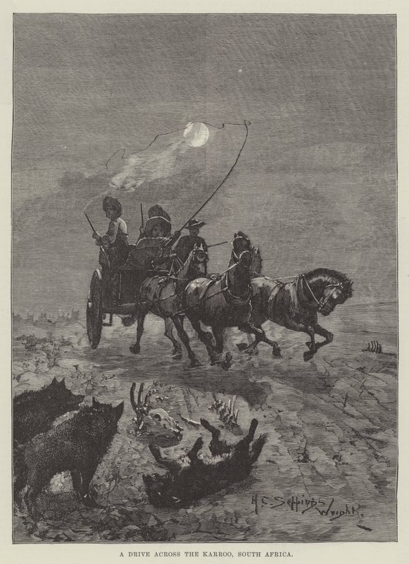 En kjøretur over Karoo, Sør-Afrika av Henry Charles Seppings Wright