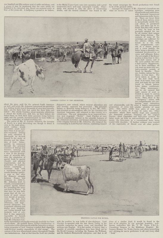 Storfe i Argentina av Henry Charles Seppings Wright