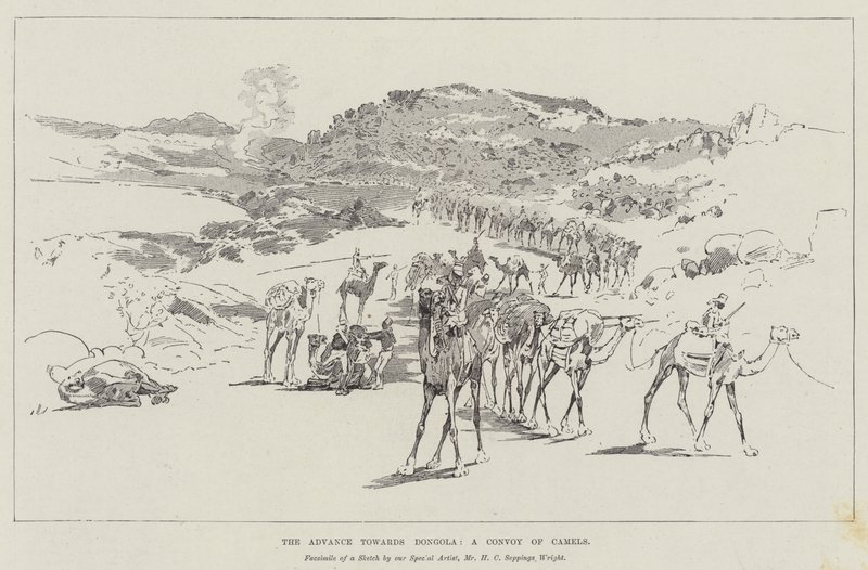 Fremskrittet mot Dongola, en konvoi av kameler av Henry Charles Seppings Wright