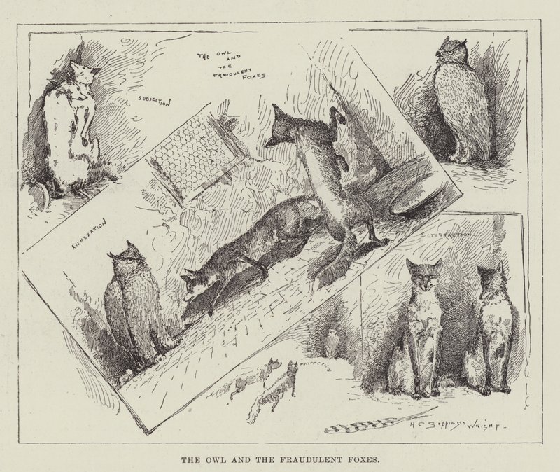 Ugla og svindelrevene av Henry Charles Seppings Wright