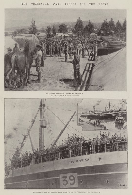 Transvaal-krigen, tropper for fronten av Henry Charles Seppings Wright