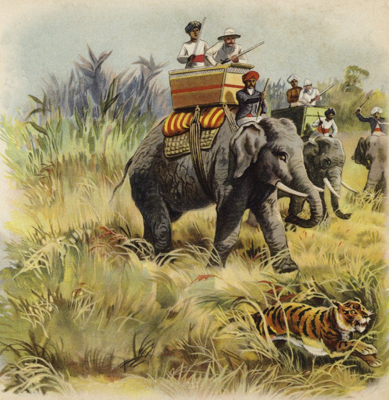 Prince of Wales tigerjakt i India (chromolitho) av Henry Payne