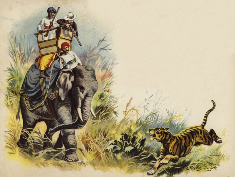 Prinsen av Wales tigerskyting under kongeturen i India, 1905 (chromolitho) av Henry Payne