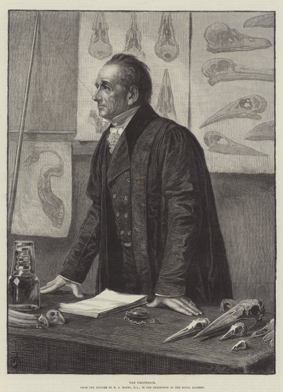 Professoren av Henry Stacey Marks