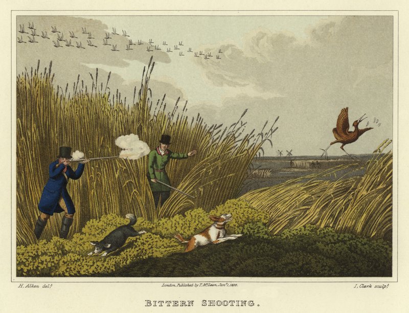 Bittern skyting (chromolitho) av Henry Thomas Alken