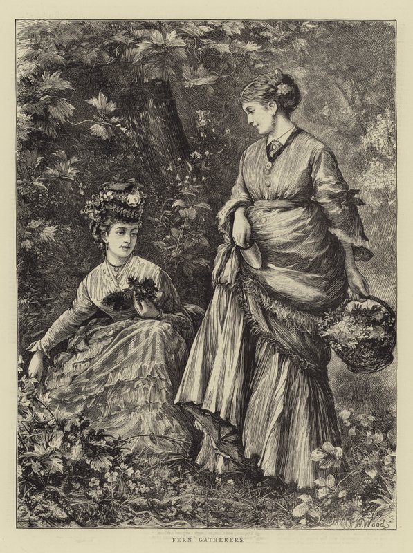 Fern Samlere av Henry Woods