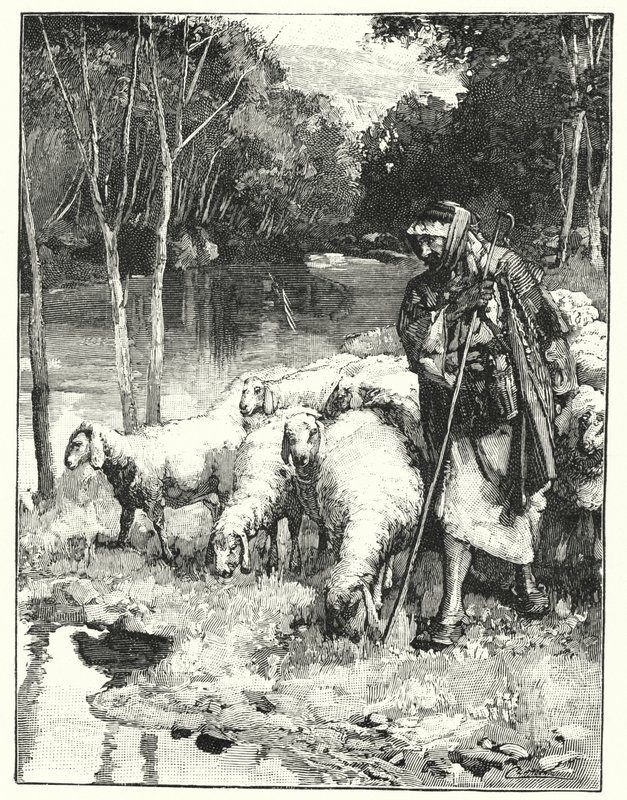 En hyrde og flokken hans i Anti-Libanon (litho) av Henry Andrew Harper