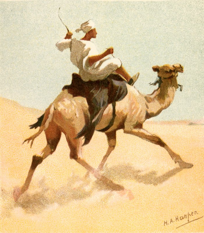 En arabisk postmann av Henry Andrew Harper