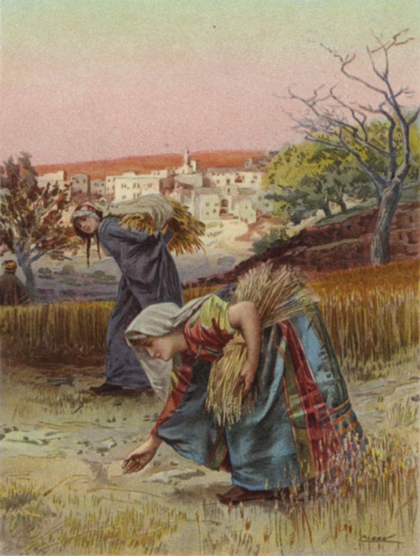 Skaper i felten (farge litho) av Henry Andrew Harper