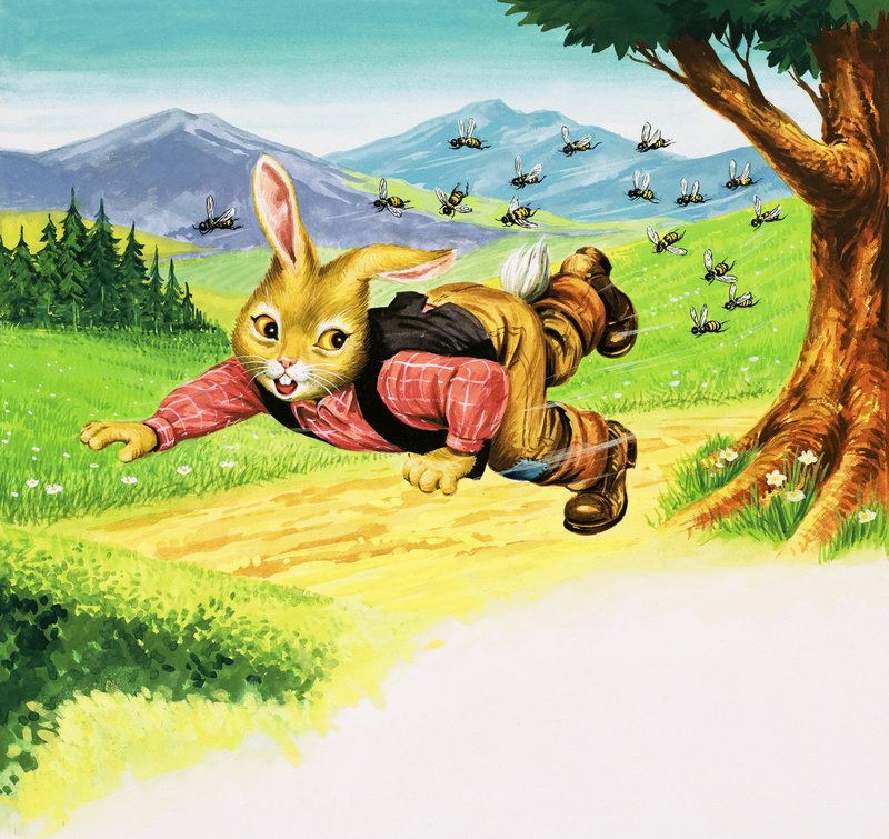 Bjørn Kanin av Henry Charles Fox