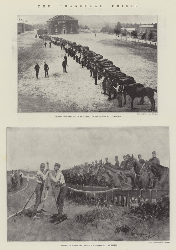 Transvaal-krisen av Henry Charles Seppings Wright