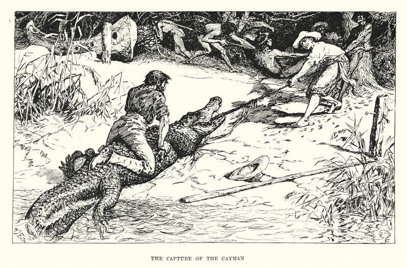  av Henry Justice Ford