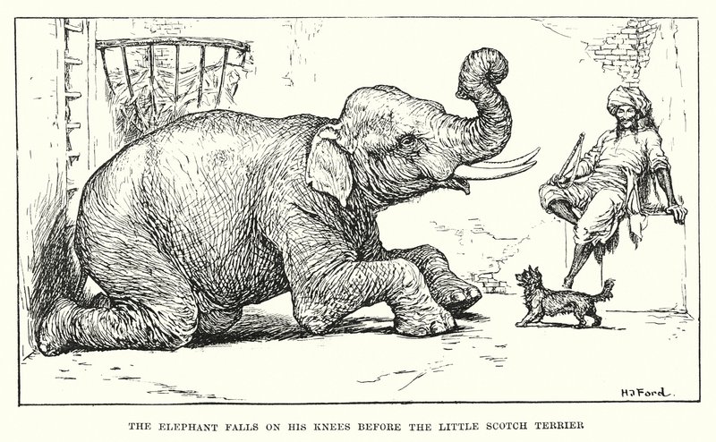  av Henry Justice Ford