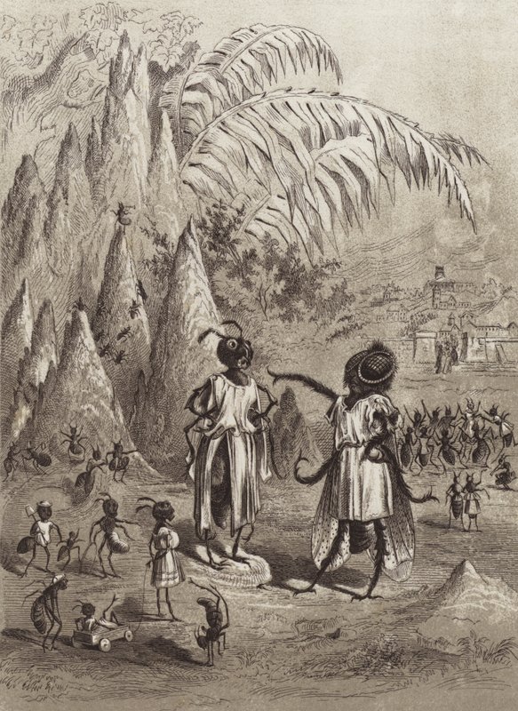 The Fables of Aesop: The Ant and the Fly (litho) av Henry Louis Stephens