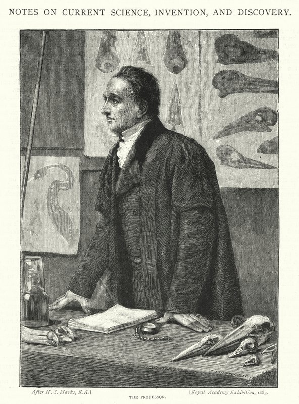 Professoren (gravering) av Henry Stacey (after) Marks