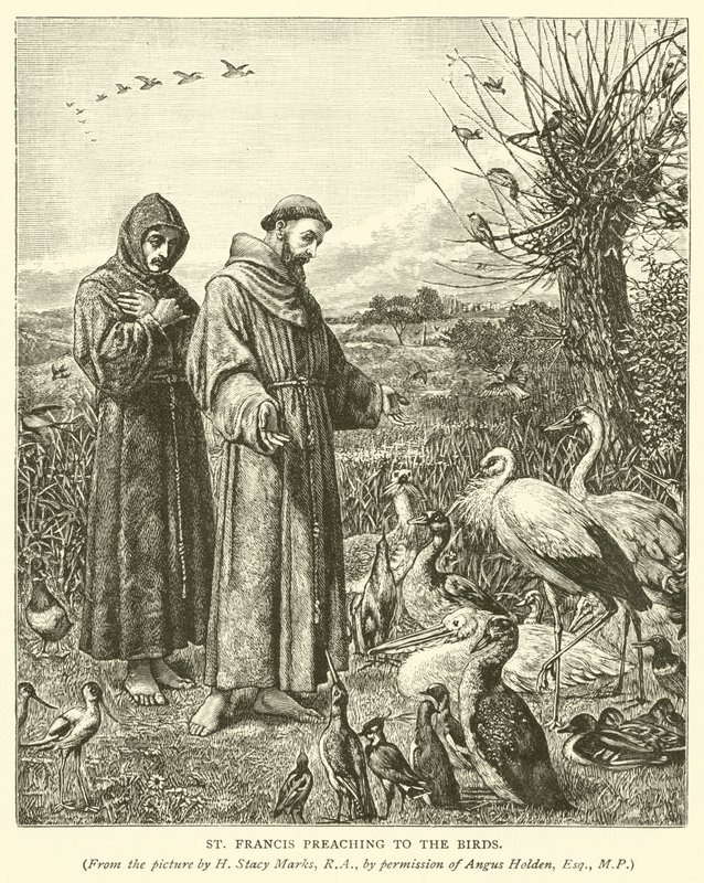 St Francis forkynner for fuglene av Henry Stacey Marks