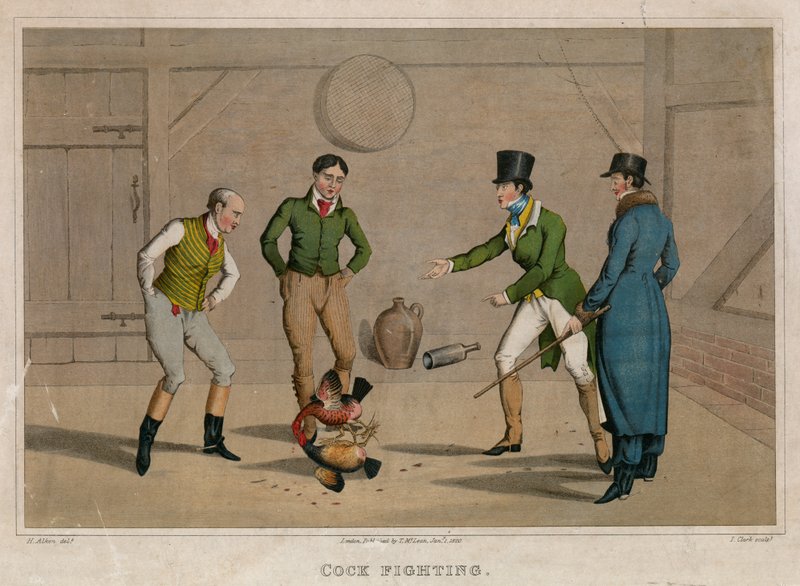 Hanekamp av Henry Thomas Alken