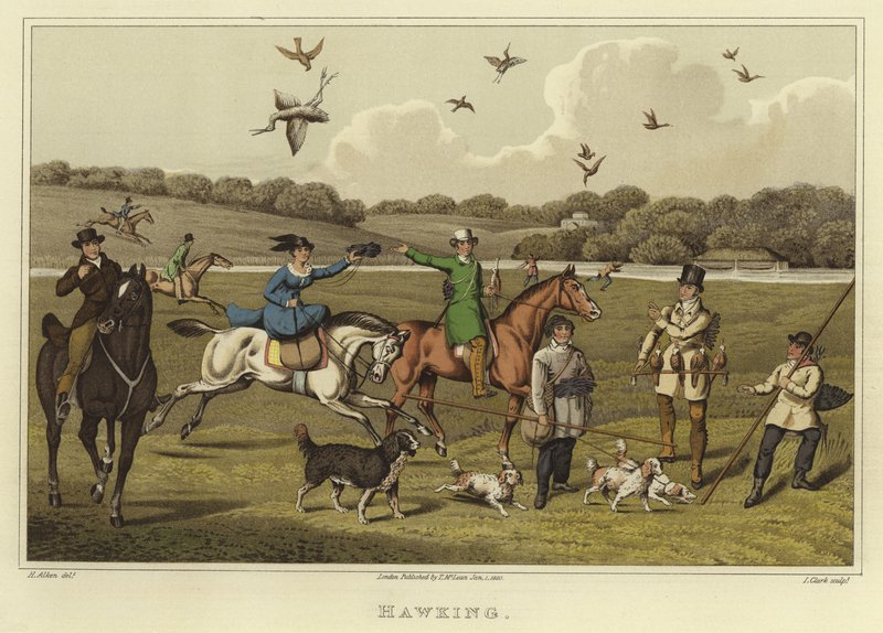 Hawking (chromolitho) av Henry Thomas Alken