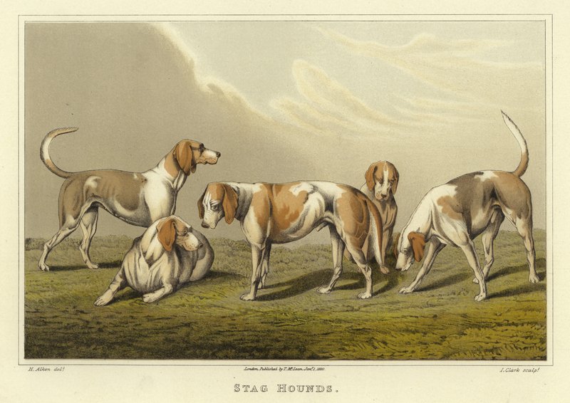 Stag Hounds (chromolitho) av Henry Thomas Alken