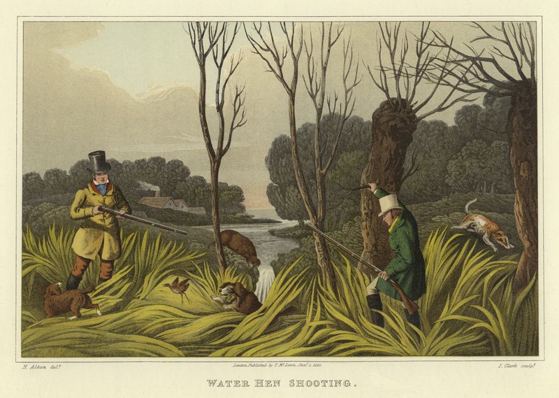 Vannhøneskyting (chromolitho) av Henry Thomas Alken