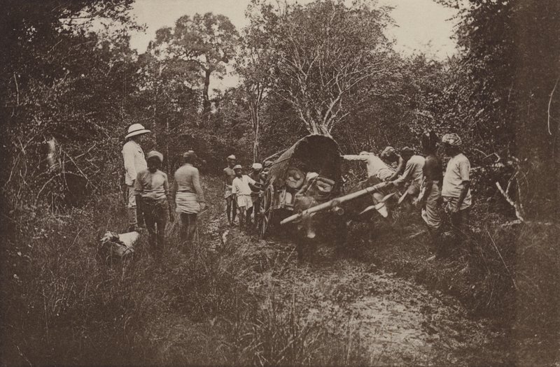 Ceylons ruinerte byer: På vei til Polonnaruwa (s/hvitt-bilde) av Henry W. Cave