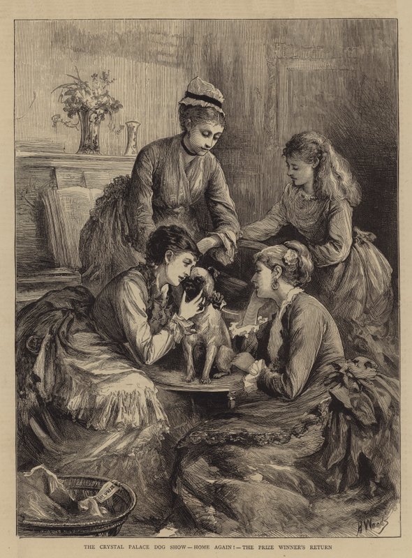 Crystal Palace Dog Show, Hjem igjen!, Prisvinnerens retur av Henry Woods