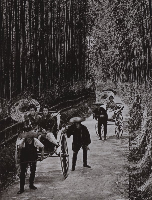 A Bamboo Avenue i Kyoto (s/hvitt bilde) av Herbert Ponting